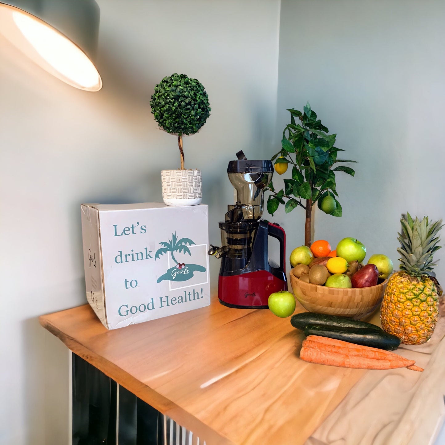 GUIRLA Premier Cold Press Juicer - GUIRLA